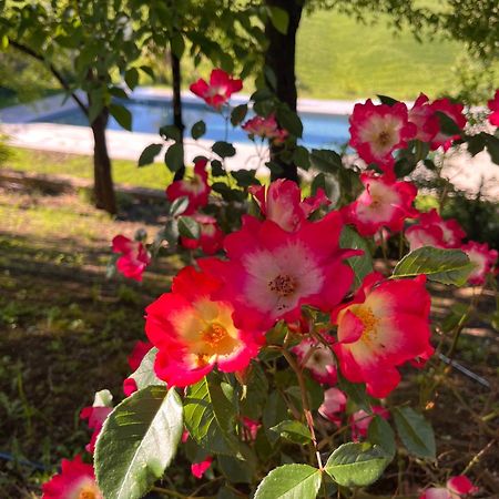 Agriturismo San Fabio Кастелнуово Берарденга Екстериор снимка