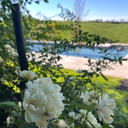 Agriturismo San Fabio Кастелнуово Берарденга Екстериор снимка