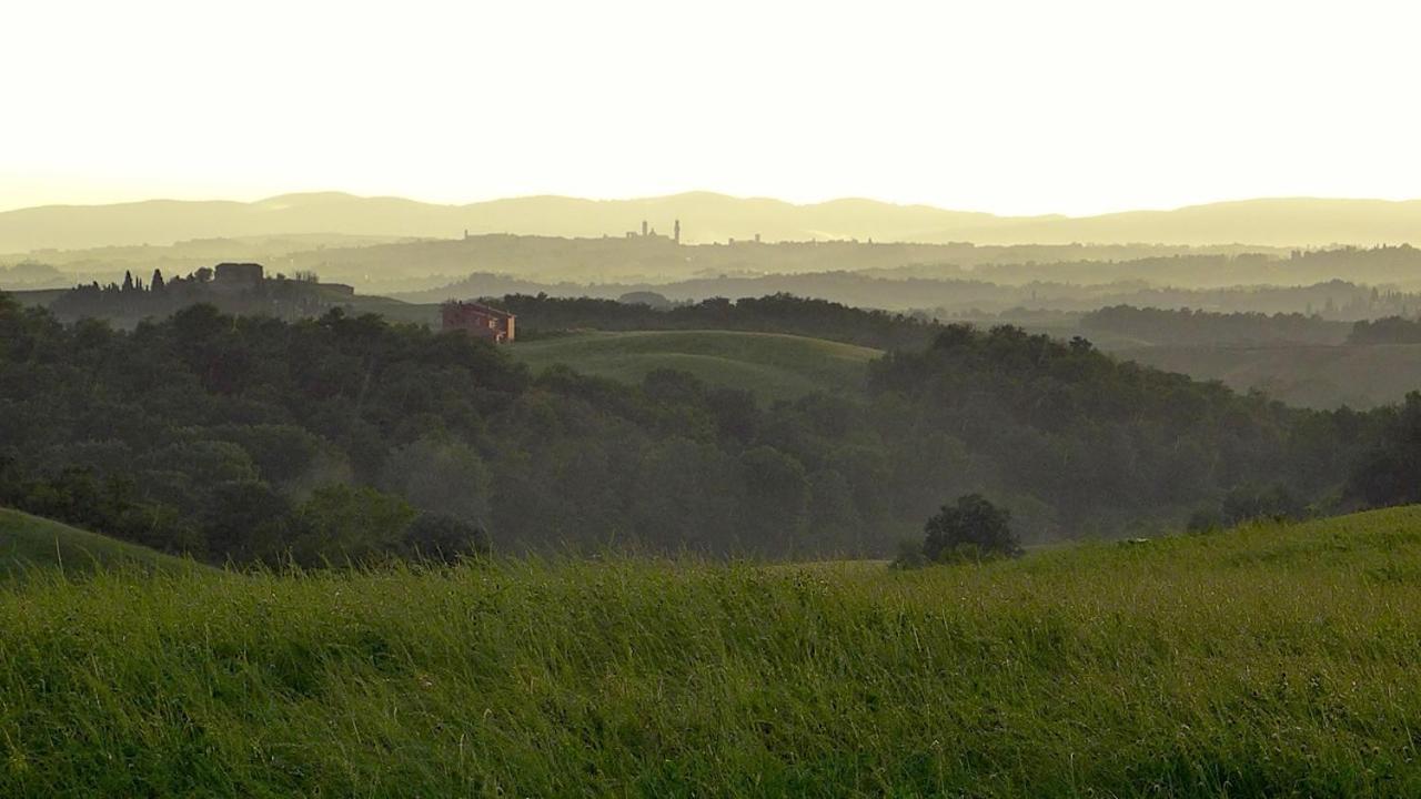 Agriturismo San Fabio Кастелнуово Берарденга Екстериор снимка