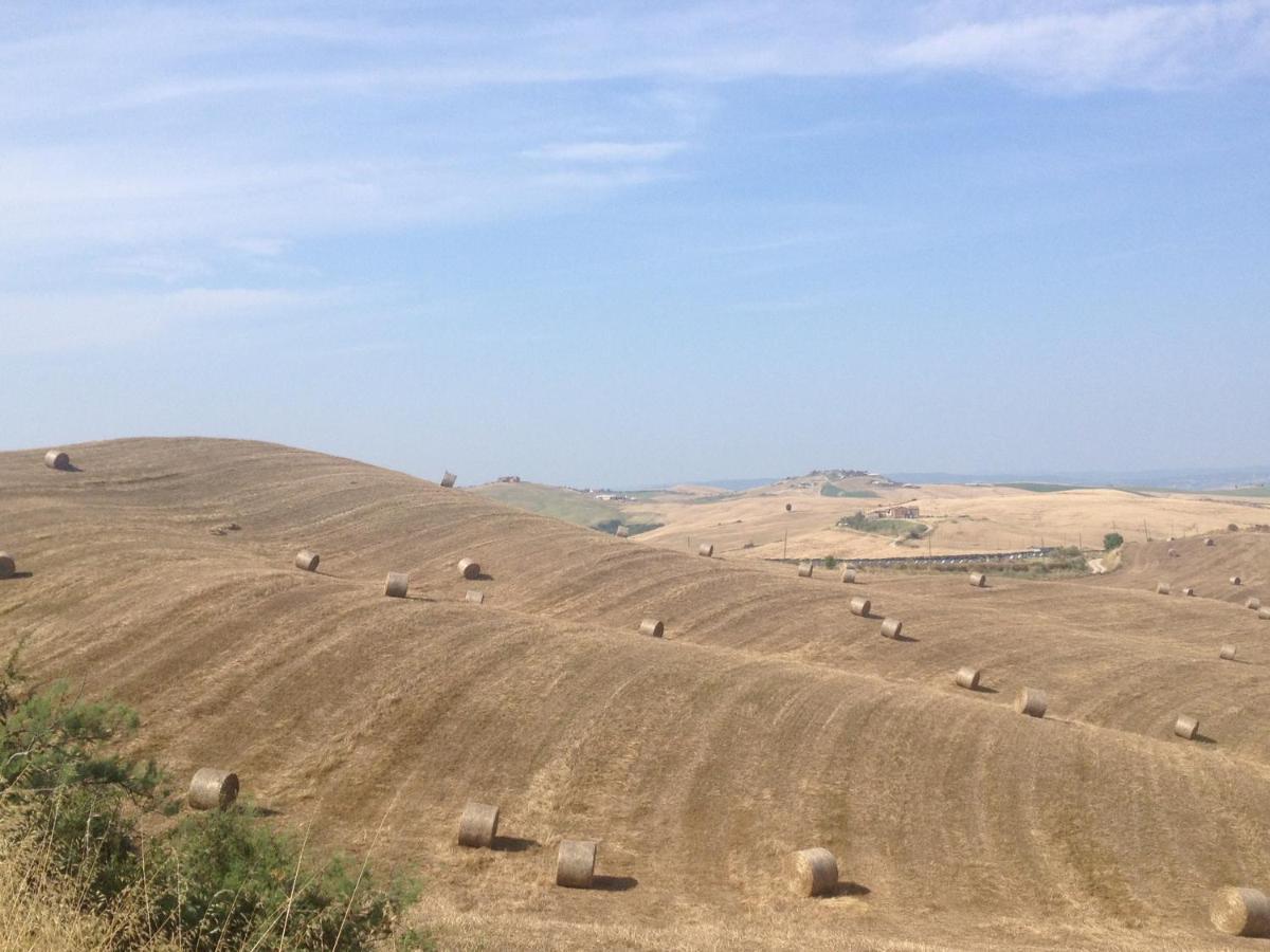 Agriturismo San Fabio Кастелнуово Берарденга Екстериор снимка