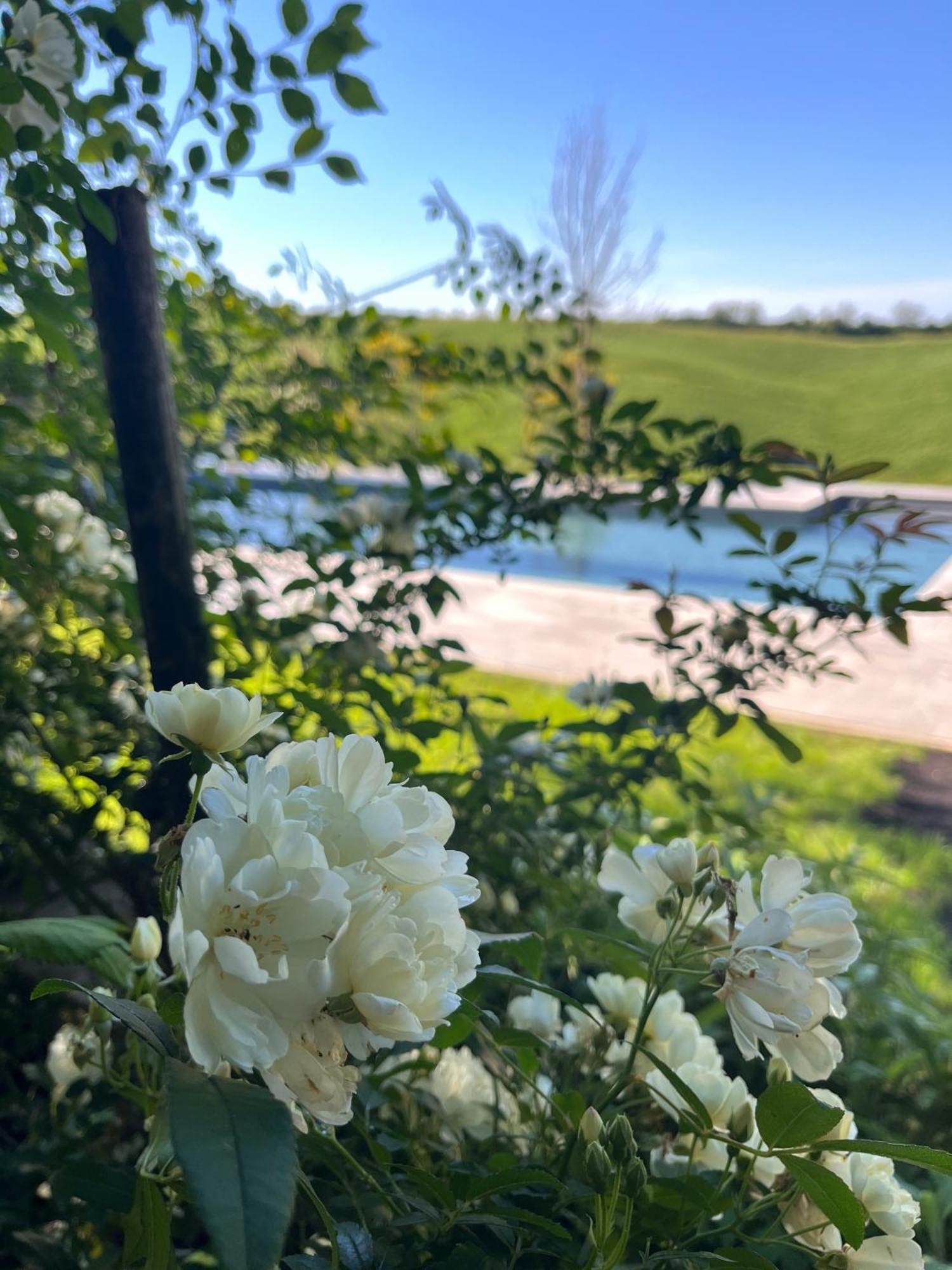 Agriturismo San Fabio Кастелнуово Берарденга Екстериор снимка
